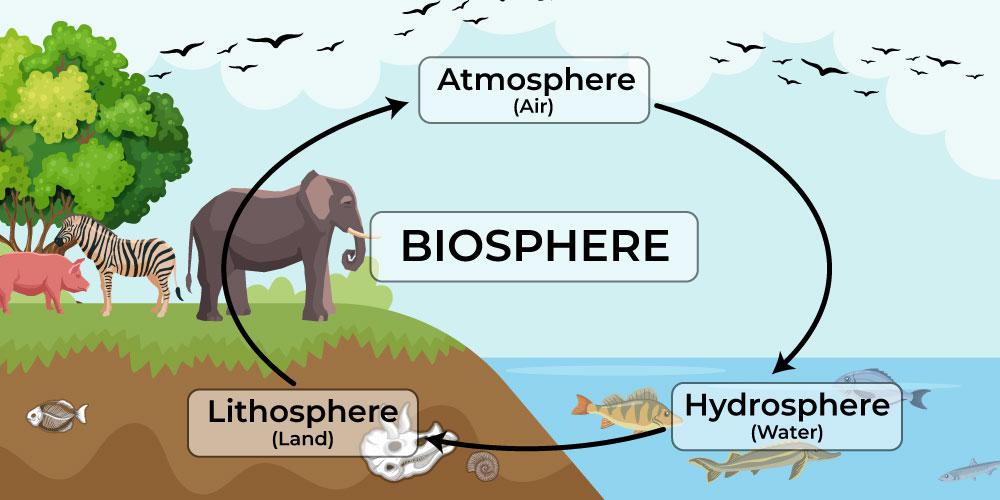 Earths Biosphere