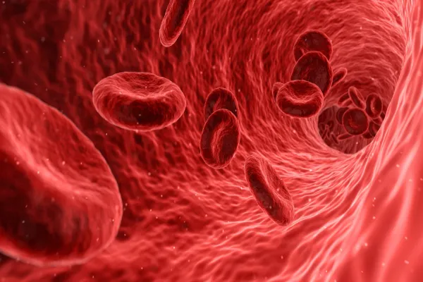 Interesting Facts About The Humans Blood