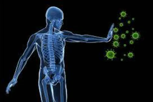 Interesting Facts About The Humans Immune System