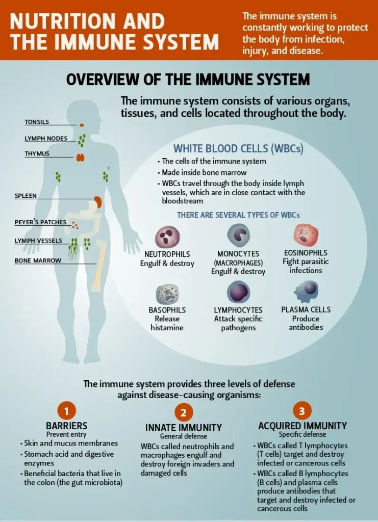 Overview of the immune system