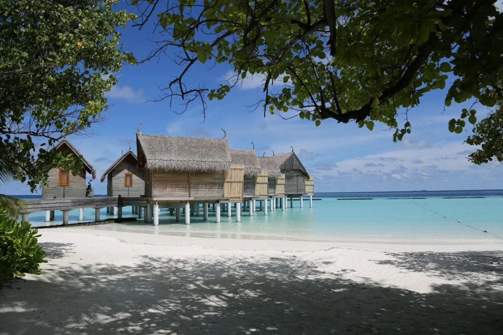 Traditional thatched-roof overwater villas on stilts over a turquoise lagoon in the Maldives, viewed from a white sand beach with leafy tree branches in the foreground.