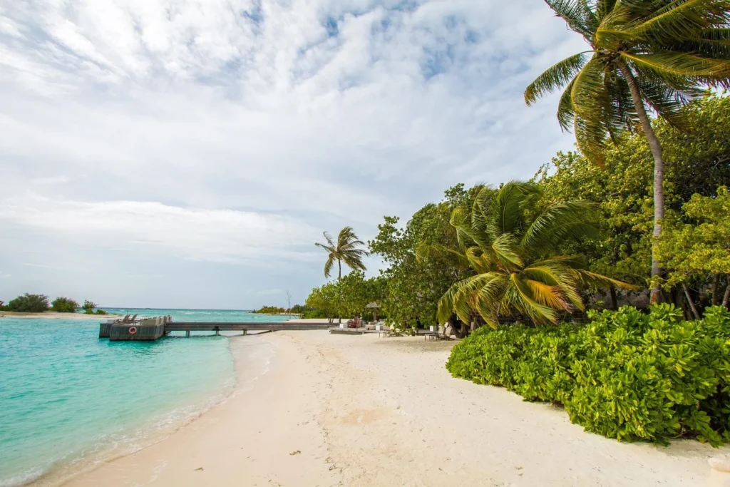 A secluded white sand beach in the Maldives featuring tropical palm trees, lush greenery, and a wooden jetty stretching into turquoise water under a bright sky.